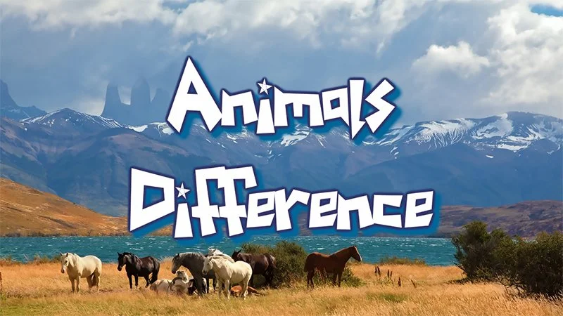 Diferențe între animale